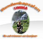 Umma Hond